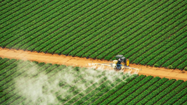 Best Commercial Pest Control Services  in Oxnard, CA
