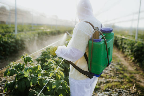 Best Affordable Pest Control Services  in Oxnard, CA